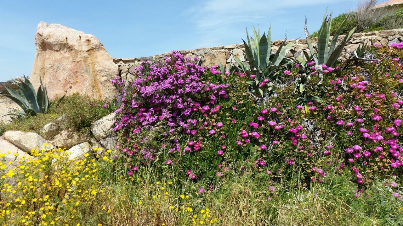 Casa Vacanze Della Maddalena Villa Ла Мадалена Екстериор снимка